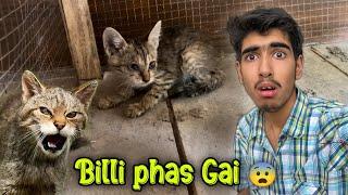 Billi nalay main phas gai  RESCUE MISSION 