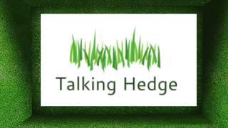 The Talking Hedge: about us & why we started (2019)