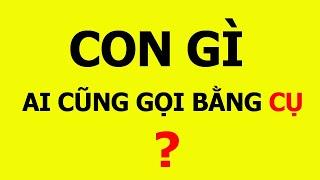 Những câu đố mẹo ngắn nghe rất vô lý nhưng cực kì thuyết phục