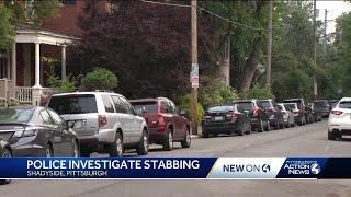 Shadyside stabbing under investigation