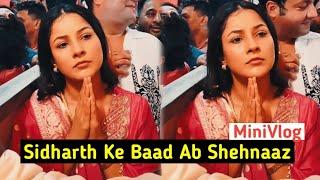 Shehnaaz Gill Minivlog, Sidharth Ke Baad Kar Rahi Hain Kaam Ko Pura | Trending World Salman