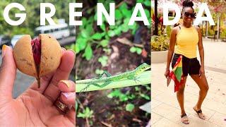  Grenada Getaway: Exploring the Spice Isle!  || #vlog