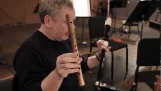 Cinesamples CineWinds - Orchestral and Ethnic Woodwind Sample Library