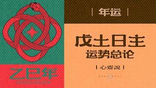 戊土日主乙巳年运势总论丨涉及财官子病灾丨2025年注意事项说明书