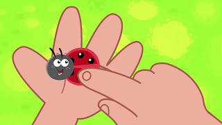 Ladybug  ( ladybug song BongoBongo TV Nursery Rhymes )