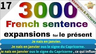 the best way to learn French, French sentence expansion exercises, French Conjugation