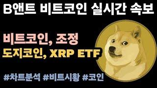 [실시간 LIVE] 비트코인 96K! / 미 SEC, DOGE 및 XRP 현물 ETF 신청서 접수 공식 확인  #비트코인실시간 #이더리움 #엑스알피 #솔라나 #파이코인 #트럼프코인