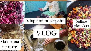 Blerje Zara| Adaptimi ne kopsht| Receta te reja