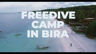 Freedive Camp in Bira with Freedive Nusa