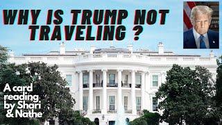Why is Trump not traveling ? Health ? Safety ? Legal ? Life of a Felon who can't go overseas easily