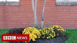 The Trump campaign 'Four Seasons' saga explained  - BBC News