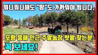 포항부동산 포항토지매매 텃밭 주말농장  농막토지 찾는분 꼭 보세요! 흥해 곡강리 촌땅매매 시골땅매매 - 착한부동산TV