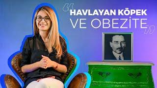 Havlayan Köpek ve Obezite- Havuç ve Sopa 2. Bölüm