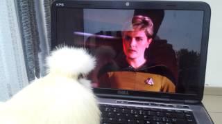Weirdest star trek fan on planet earth. You should check this one out!