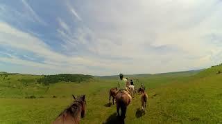 Horse Riding (Stana, Sălaj, Romania)