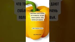 Здоровье – это самое ценное богатство, которое у нас есть. Вот несколько цитат о здоровье