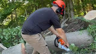 Stihl MS 251 Review