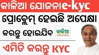 Kalia Yojana e-kyc complete | Kalia Yojana eKYC online | Kalia Yojana online apply