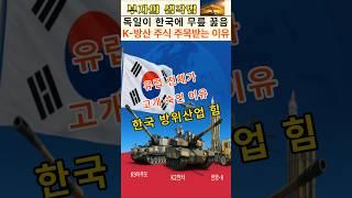 K-방산 주식 대 폭등? 독일이 한국에 무릎 꿇은 이유(풍산·한화·LIG넥스원 주가 영향은?)
