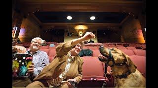 Happy dogs: Lucky pups take in a show at Modesto’s State Theatre