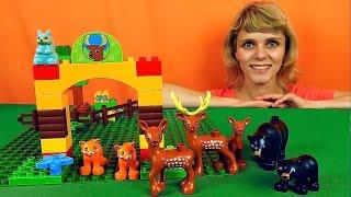 Собираем конструктор Lego - Заповедник с животными. Видео для детей. Lego Duplo Forest Park 10584