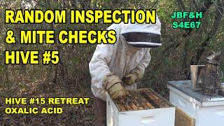 Varroa mite test on hive 5 and treating hive 15 S4E67 #varroa #beekeeping