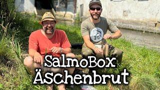 Äschen anfüttern mit @Salmobox