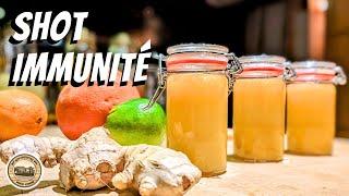 Shot Immuno-Stimulant Ginger, Citrus & Probiotics. Recipe for a 21-day Cure, Tonic