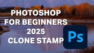 Clone Stamp Tool  - Photoshop for Beginners - 2025