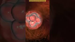 Pregnancy and Embryonic Development Class 12 Biology Concepts - Human Reproduction | NEET 2023