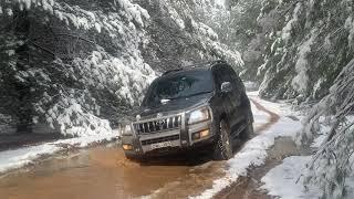 Epic 2020 SNOW Blizzard at Shooters Hill near Sydney NSW