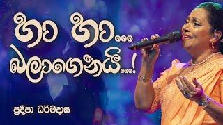 Ha Ha Balagenai by Pradeepa Dharmadasa | හා හා බලාගෙනයි - ප්‍රදීපා ධර්මදාස | Sinhala Songs