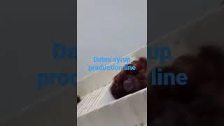 dates syrup production line
