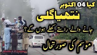 Murree live today | #nathiagali  hotels room rent | #nathiagali weather | nathia Gali latest update