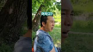 등대와설중사#엉터리 6개국어   