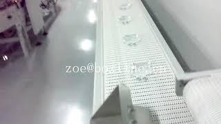 electric motor Network chain conveyor line conveyor systems for soft bags from China