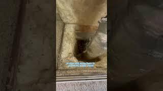 We don’t need to access the Crawlspace. #whatthefriday #homeinspection