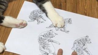 [고양이 그리는 법 8장] 전투중인 고양이 그리기