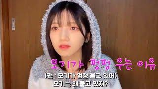 모기가 펑펑 우는 이유