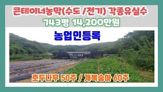 (토-380)[전원주택지][당진전원주택][당진토지] 산자락아래 넓은토지 743평  컨테이너 농막 (전기/ 수도) 각종 유실수  농업인혜택 가능한 주택지  텃밭으로 좋아요.