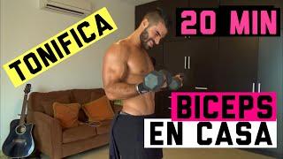 Rutina de Biceps y Antebrazos en Casa (20 MIN) Tonifica tus Brazos | Para Mujeres y Hombres