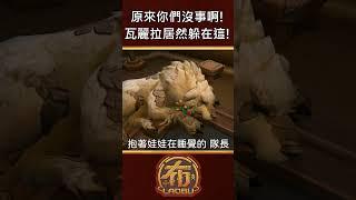 原來你們沒事啊!!瓦麗拉居然躲在這裡! #老布 #worldofwarcraft