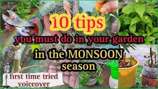 Rainy season must do, in your Garden. Do this 10 things #monsoon #garden #trendingvideo #viralvideo