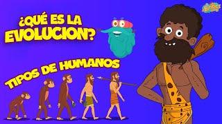 ¿Qué Es La Evolución? | Ciencias Cara Niños | Vídeo educativo | Educativos Para Niños 2024