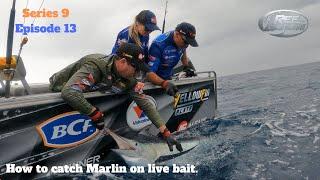 How to catch Marlin on live bait.