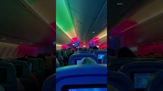 Colourful Paris - Miami flight ️️#flight #colourful #original #cool #landing #flamboyant