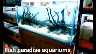 my shop tour Fish paradise aquariums