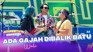 WALI - Ada Gajah Dibalik Batu | DAHSYATNYA WEEKEND