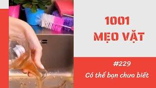 1001 Mẹo Vặt - Mẹo Hay Trong Cuộc Sống  (P229) #Shorts #1001meovat