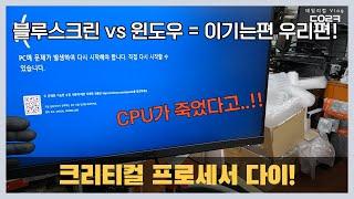 크리티컬 프로세서 다이 블루스크린 ! CPU가 죽었다고?!! CPU가 불량이여?!! | 990원! 멤버십 가입 환영합니다